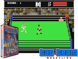Tag Team Wrestling